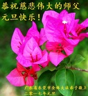 法轮功,广东大法弟子恭祝师尊新年好(25条)