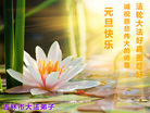 ֹ,д󷨵ӹףʦ(25)