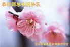 ֹ,д󷨵ӹףʦ(22)
