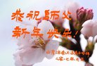 ֹ,ϴ󷨵ӹףʦ(29)