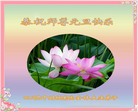 Published on 12/31/2016 ���ֹ�,��½�󷨵��ӹ�ףʦ�������(26��)