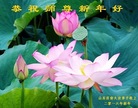 ֹ,ϴ󷨵ӹףʦ(29)