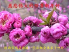 ֹ,󷨵ӹףʦ(21)