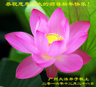ֹ,ݴ󷨵ӹףʦ(25)