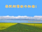 ֹ,ݴ󷨵ӹףʦ(25)