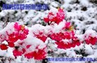 Published on 12/29/2016 ���ֹ�,��½�󷨵��ӹ�ףʦ�������(31��)