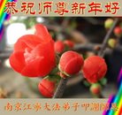 Published on 12/31/2016 ���ֹ�,��½�󷨵��ӹ�ףʦ�������(26��)