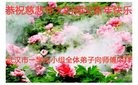ֹ,人󷨵ӹףʦ(23)