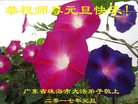 ֹ,㶫󷨵ӹףʦ(25)