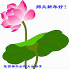 法轮功,陕西大法弟子恭祝师尊新年好(21条)