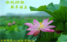 ֹ,ϴ󷨵ӹףʦ(20)