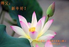 ֹ,ൺ󷨵ӹףʦ(24)