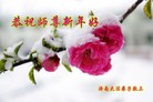 法轮功,济南大法弟子恭祝师尊新年好(23条)