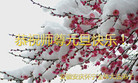 ֹ,մ󷨵ӹףʦ(25)