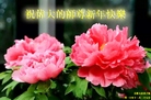 ֹ,մ󷨵ӹףʦ(24)