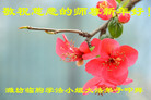 ֹ,Ϋ󷨵ӹףʦ(28)