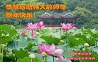 ֹ,󷨵ӹףʦ(25)