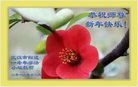 ֹ,人󷨵ӹףʦ(24)