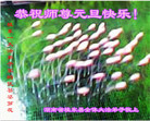 ֹ,ϴ󷨵ӹףʦ(28)