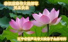 ֹ,«󷨵ӹףʦ(25)