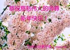 ֹ,󷨵ӹףʦ(23)