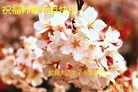 ֹ,󷨵ӹףʦ(28)