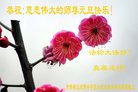 法轮功,甘肃大法弟子恭祝师尊新年好(23条)