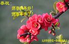 ֹ,󷨵ӹףʦ(22)