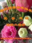 ֹ,󷨵ӹףʦ(23)