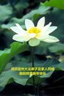 ֹ,󷨵ӹףʦ(23)