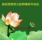 法轮功,河南大法弟子恭祝师尊新年好(27条)