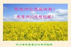 Published on 1/1/2017 ���ֹ�,��½�󷨵��ӹ�ףʦ�������(36��)