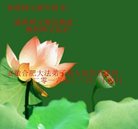 ֹ,մ󷨵ӹףʦ(24)