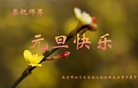Published on 1/1/2017 ���ֹ�,��½�󷨵��ӹ�ףʦ�������(32��)