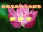Published on 1/1/2017 ���ֹ�,��½�󷨵��ӹ�ףʦ�������(32��)