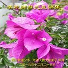 Published on 12/31/2016 ���ֹ�,��½�󷨵��ӹ�ףʦ�������(41��)