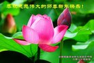 法轮功,云南大法弟子恭祝师尊新年好(20条)