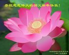 ֹ,ϴ󷨵ӹףʦ(20)