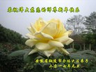 ֹ,մ󷨵ӹףʦ(24)