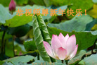 ֹ,㽭󷨵ӹףʦ(27)
