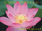 ֹ,󷨵ӹףʦ(25)