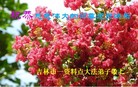 ֹ,д󷨵ӹףʦ(25)