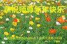 法轮功,西安大法弟子恭祝师尊新年好(19条)