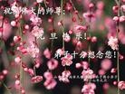 ֹ,ϴ󷨵ӹףʦ(32)