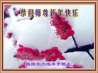 ֹ,ɹŴ󷨵ӹףʦ(20)