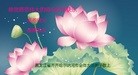 ֹ,󷨵ӹףʦ(29)