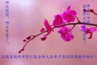 法轮功,江西大法弟子恭祝师尊新年好(25条)