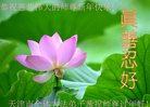 ֹ,󷨵ӹףʦ(23)