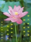 ֹ,人󷨵ӹףʦ(22)