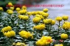 ֹ,żҿڴ󷨵ӹףʦ(28)
